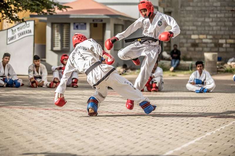 Taekwondo Practitioner